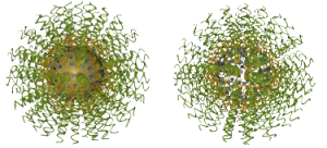 Сферични нуклеинови киселини – с ядро и без ядро. Credit: Nanobrien (CC BY-SA 3.0)