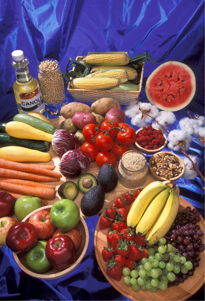 genetically-modified-foods-skeeze-pixabay