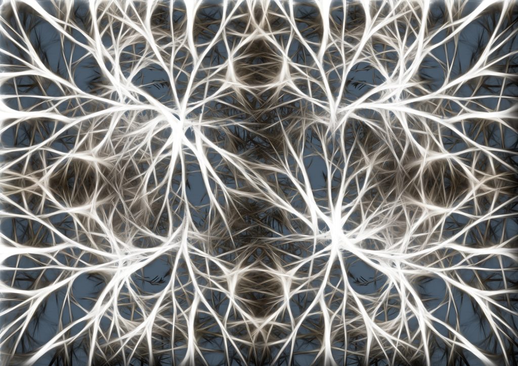 neurons-geralt-pixabay