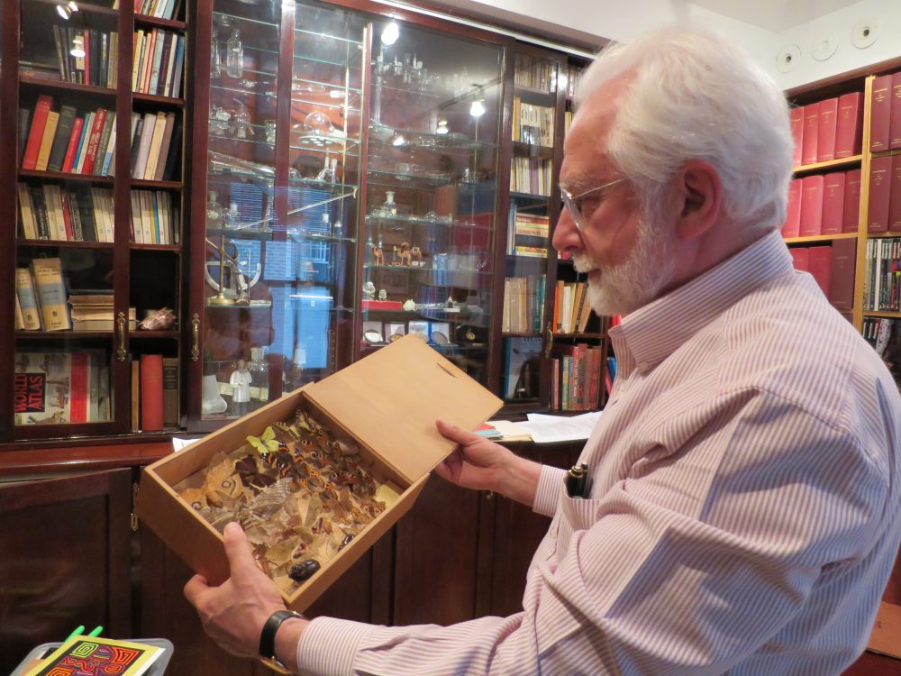 Проф. Рeфетов с колекция от пеперуди събирани от изследователската му дейност из джунглите на Амазонка