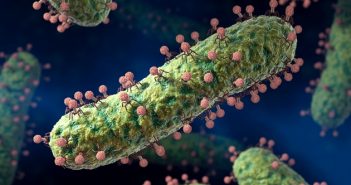 Вируси, наричени бактериофаги, похищават бактерии и ги използват за произвеждане на повече свои копия. Сега изследователите са открили, че те също могат и да общуват. Credit: Animated Healthcare Ltd./SPL